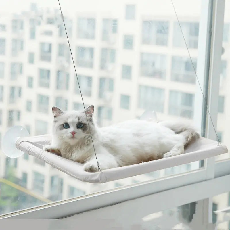 Pet Litter Sucker Hanging Cat Window Hammock Trendy DigiStore USA