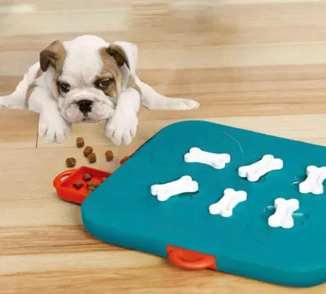 Pet toys casino treasure hunt puzzle food spill toy Trendy DigiStore USA