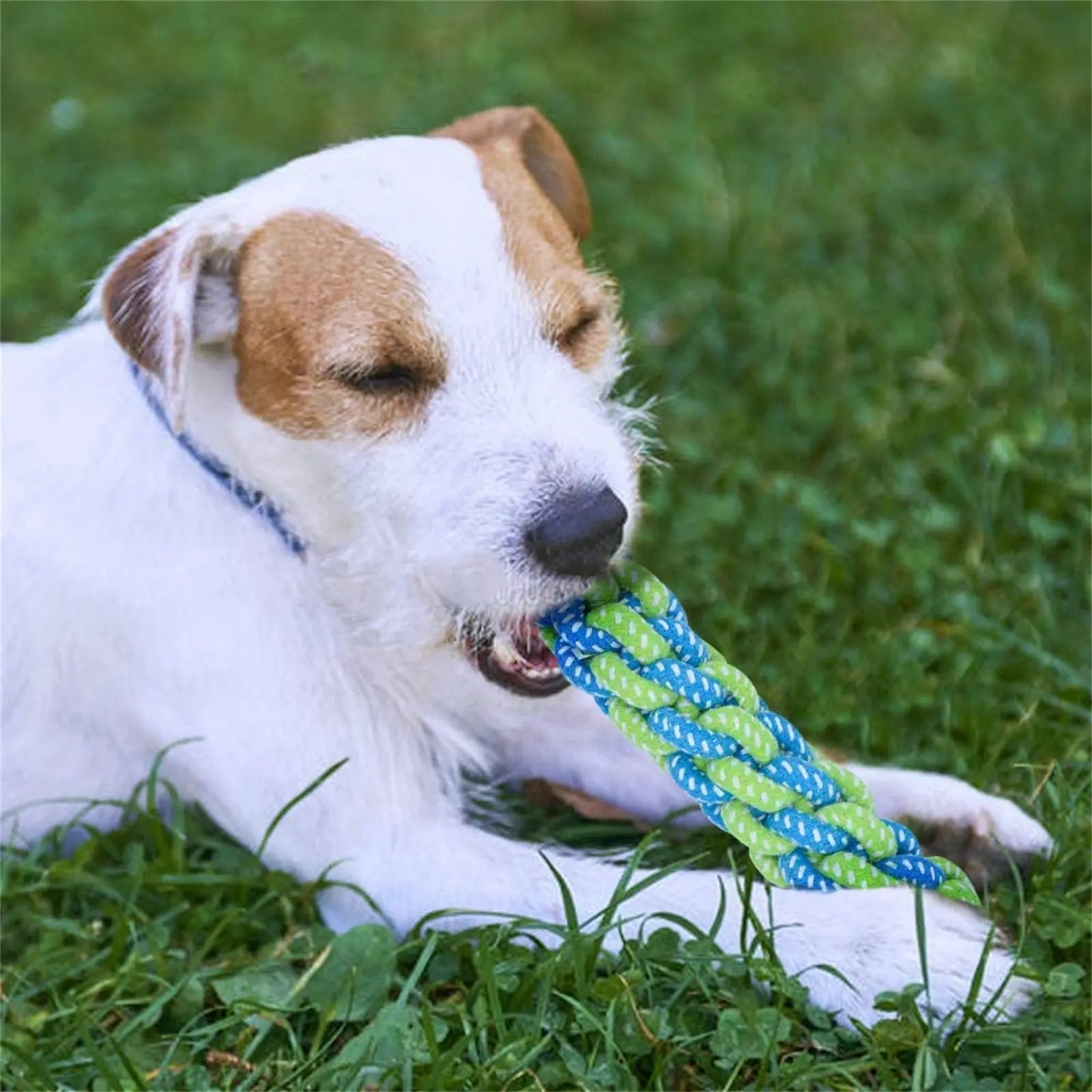 Durable Puppy Toys Dog Toys Prevent Boredom Anxiety Teething Knots Cotton Chew Toys For Small Pets Trendy DigiStore USA