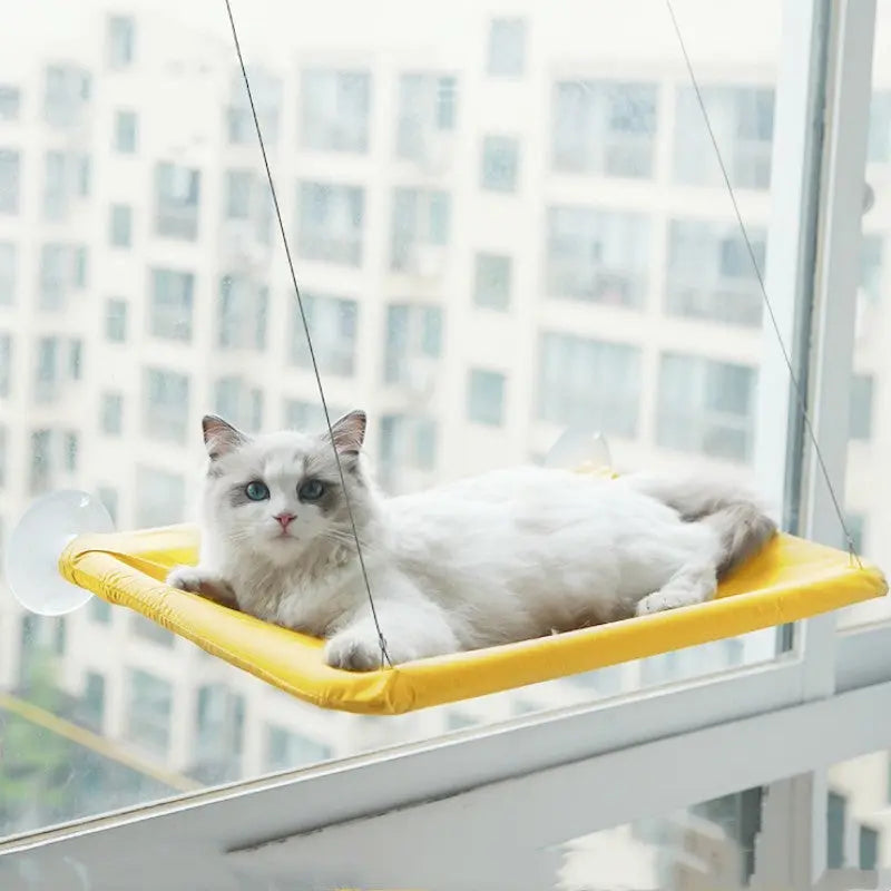 Pet Litter Sucker Hanging Cat Window Hammock Trendy DigiStore USA