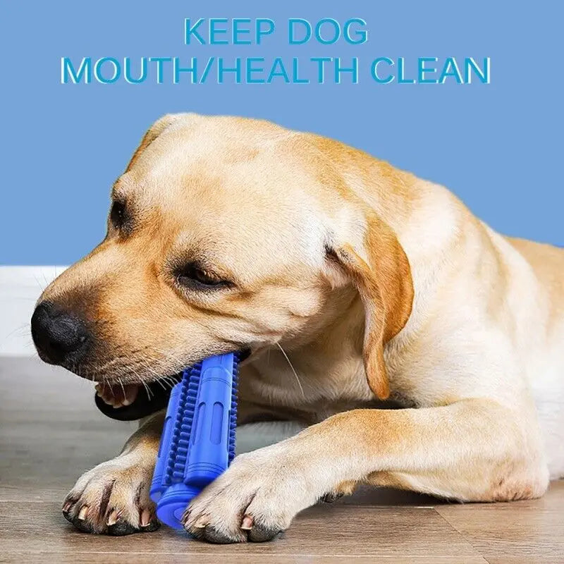 Pet Dog Chew Toy Toothbrush Teeth Cleaning Molar Rubber Squeaky Interactive Dog Toy Food Dispenser Ball Dog Chew Toys Dog Toy Food Dispenser Pet Molar Tooth Cleaning Trendy DigiStore USA