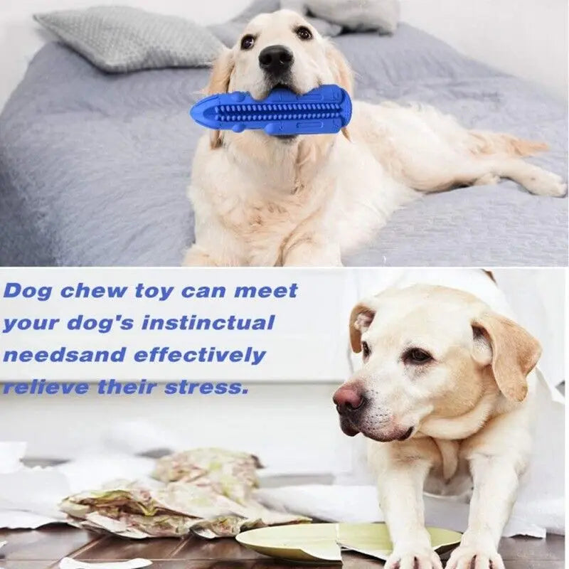 Pet Dog Chew Toy Toothbrush Teeth Cleaning Molar Rubber Squeaky Interactive Dog Toy Food Dispenser Ball Dog Chew Toys Dog Toy Food Dispenser Pet Molar Tooth Cleaning Trendy DigiStore USA