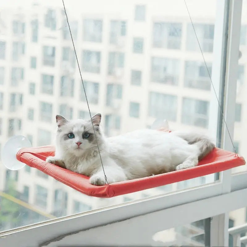 Pet Litter Sucker Hanging Cat Window Hammock Trendy DigiStore USA