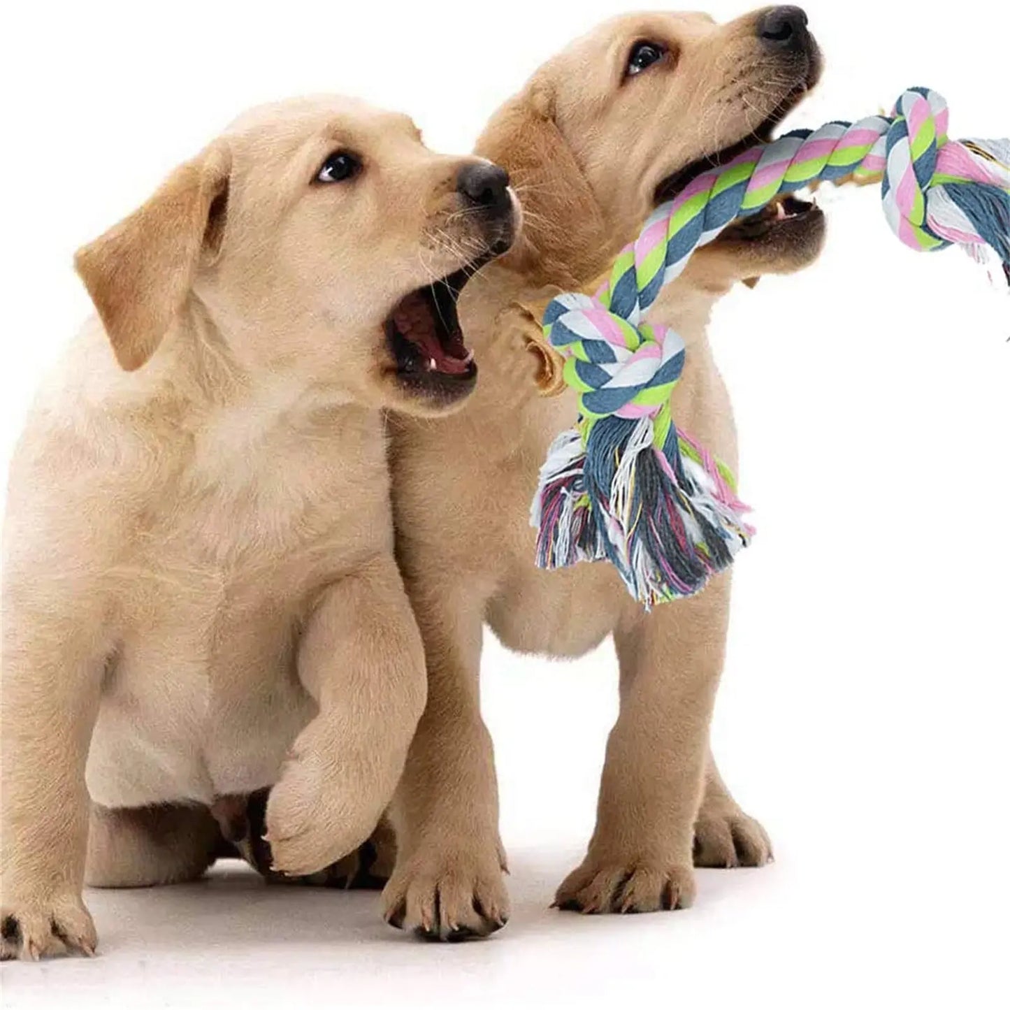 Durable Puppy Toys Dog Toys Prevent Boredom Anxiety Teething Knots Cotton Chew Toys For Small Pets Trendy DigiStore USA