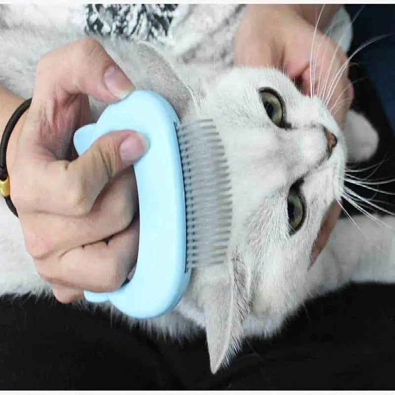 Trendy Pet Cat Dog Massage Brush Shell Shaped Handle Pet Grooming Massage Tool To Remove Loose Hairs Dogs Cats Pet Supplies Trendy DigiStore USA