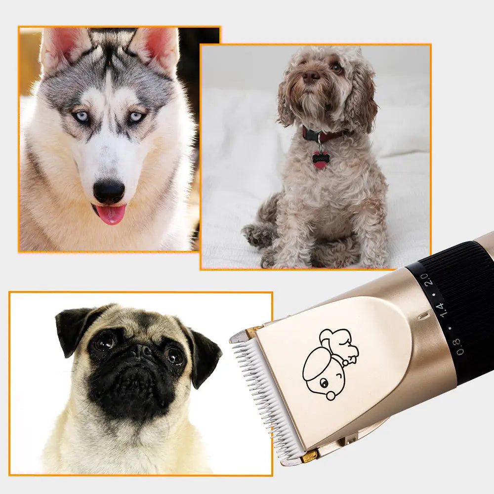 Rechargeable Dog Hair Trimmer USB Charging Electric Scissors Pet Hair Trimmer Animals Grooming Clippers Dog Hair Cut Machine Trendy DigiStore USA